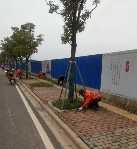 宏祥开展“春季除草”行动，提升市容环境质量.jpg